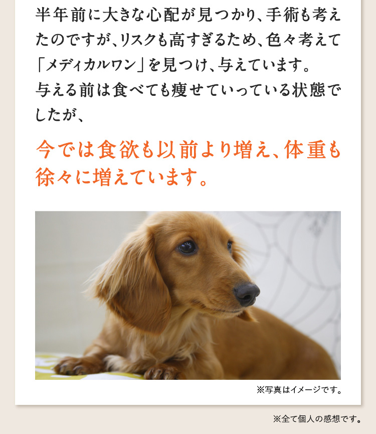 Amazon | ☆MedicalOne わんにゃん元気ing スティックタイプ