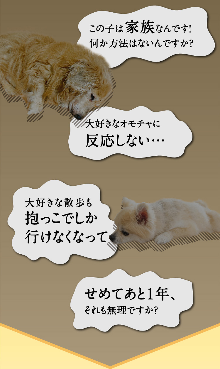 愛犬のトータルケアサプリメント メディカルワン