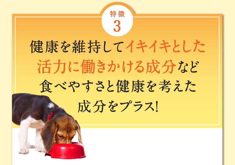 愛犬のトータルケアサプリメント メディカルワン