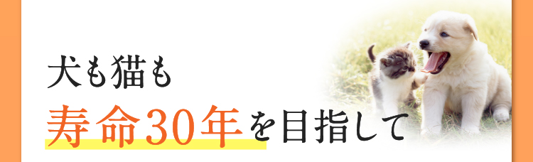 身体は生まれつき、傷ついた組織を再生し修復し再現する能力を持っています。メディカルワン®はこの力を高めることができれば、犬猫の寿命は30年まで延ばせるのではないかと考えています。そのためには、必要で十分な栄養素を食べ物として、口から摂取しなくてはなりません。健康維持によるエイジングケアでペットや飼い主さんの幸せをサポートするサプリです。