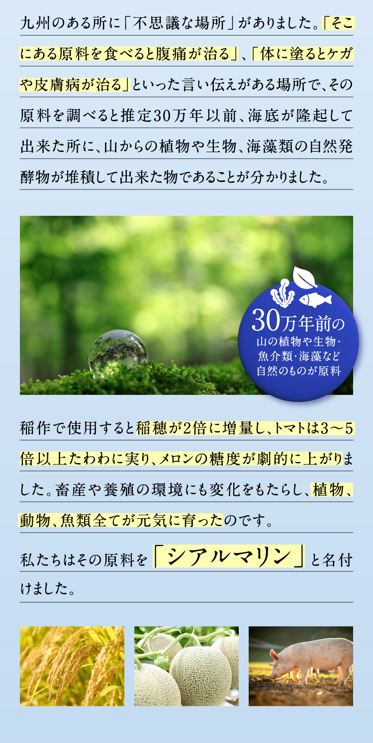 九州のある所に「不思議な場所」がありました。「そこにある原料を食べると腹痛が治る」、「体に塗るとケガや皮膚病が治る」といった言い伝えがある場所で、その原料を調べると推定30万年以前、海底が隆起して出来た所に、山からの植物や生物、海藻類の自然発酵物が堆積して出来た物であることが分かりました。稲作で使用すると稲穂が2倍に増量し、トマトは3～5倍以上たわわに実り、メロンの糖度が劇的に上がりました。畜産や養殖の環境にも変化をもたらし、植物、動物、魚類全てが元気に育ったのです。私たちはその原料を「シアルマリン」と名付けました。