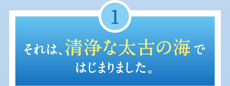 ①それは、清浄な太古の海ではじまりました。