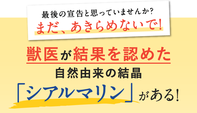 最後の宣告と思っていませんか？まだ、あきらめないで！獣医が結果を認めた自然由来の結晶 「シアルマリン」がある!