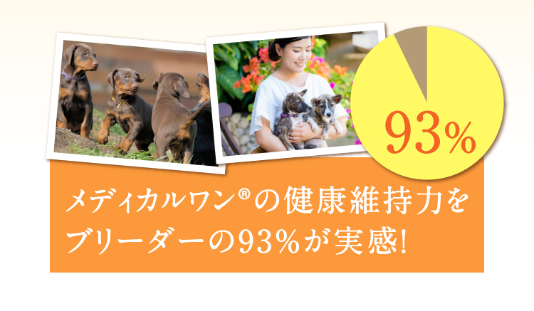 メディカルワン®️の健康維持力をブリーダーの93％が実感！