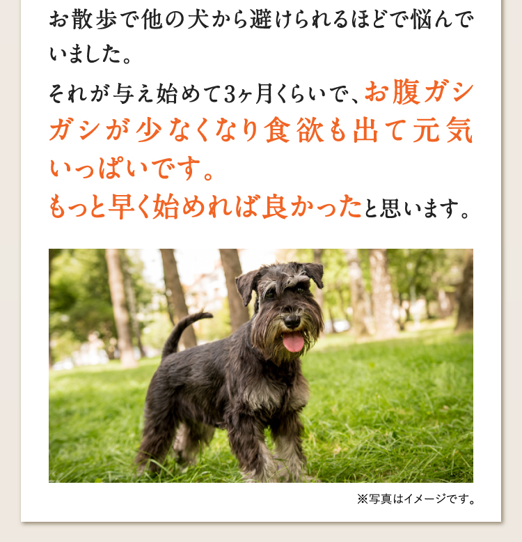 お散歩で他の犬から避けられるほどで悩んでいました。それが与え始めて3ヶ月くらいで、お腹ガシガシが少なくなり食欲も出て元気いっぱいです。もっと早く始めれば良かったと思います。