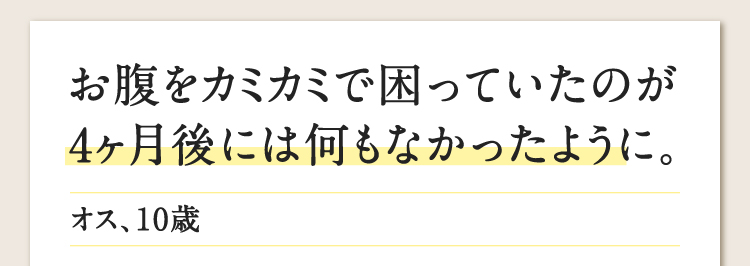 お腹をカミカミで困っていたのが4ヶ月後には何もなかったように。 オス、10歳