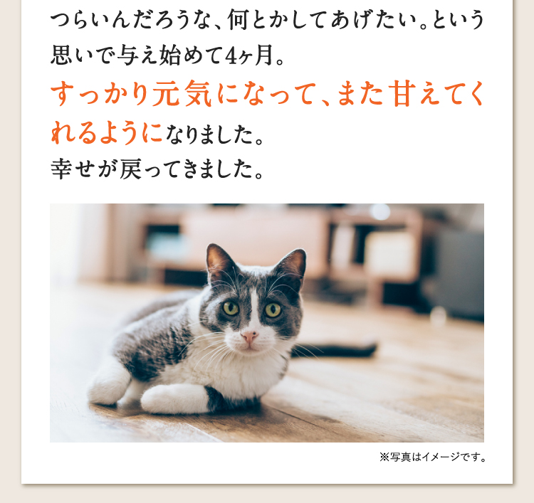 つらいんだろうな、何とかしてあげたい。という思いで与え始めて4ヶ月。すっかり元気になって、また甘えてくれるようになりました。幸せが戻ってきました。