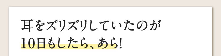 耳をズリズリしていたのが10日もしたら、あら！