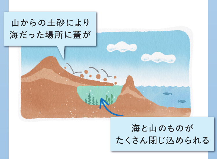 イラスト：山からの土砂により海だった場所に蓋がされ海と山のものがたくさん閉じ込められる