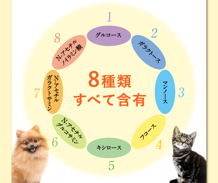 グルコース ガラクトース マンノース フコース キシロース N-アセチルグルコサミン N-アセチルガラクトサミン N-アセチルノイラミン酸 8種類すべて含有