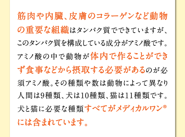 筋肉や内臓、皮膚のコラーゲンなど動物の重要な組織はタンパク質でできていますが、このタンパク質を構成している成分がアミノ酸です。アミノ酸の中で動物が体内で作ることができず食事などから摂取する必要があるのが必須アミノ酸。その種類や数は動物によって異なり人間は9種類、犬は10種類、猫は11種類です。犬と猫に必要な種類すべてがメディカルワン®️には含まれています。