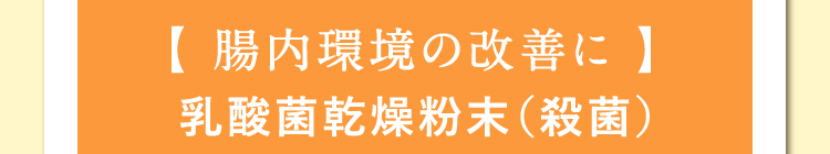 【 腸内環境の改善に 】乳酸菌乾燥粉末（殺菌）