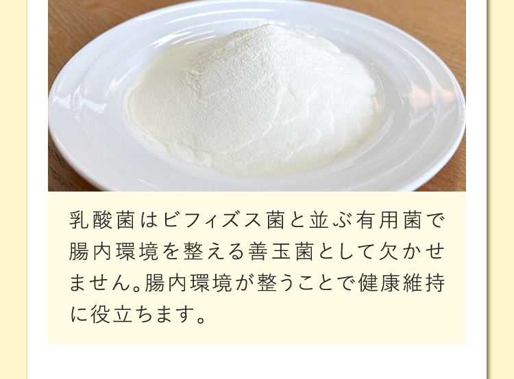 乳酸菌はビフィズス菌と並ぶ有用菌で腸内環境を整える善玉菌として欠かせません。腸内環境が整うことで健康維持に役立ちます。