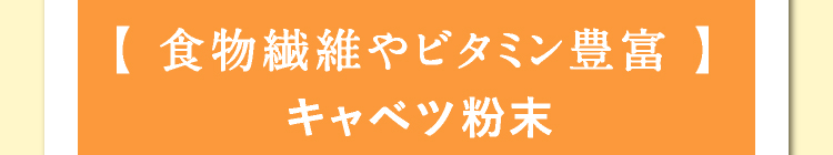 【 食物繊維やビタミン豊富 】キャベツ粉末
