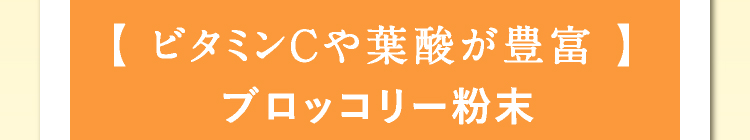 【 ビタミンＣや葉酸が豊富 】ブロッコリー粉末