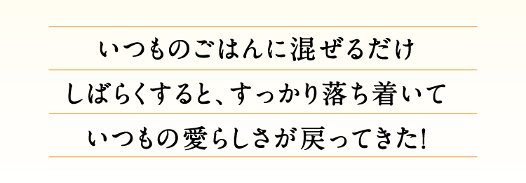 いつものごはんに混ぜるだけしばらくすると、すっかり落ち着いていつもの愛らしさが戻ってきた！