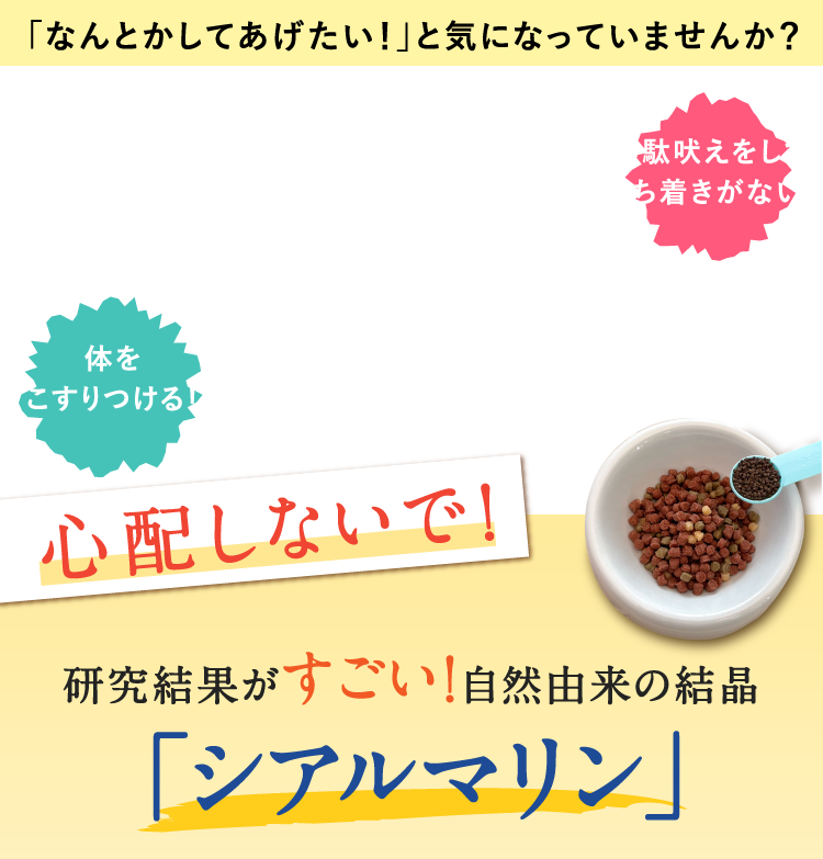 「なんとかしてあげたい！」と気になっていませんか？ 無駄吠えをして落ち着きがない！ 体をこすりつける！ 心配しないで！ 研究結果がすごい！自然由来の結晶 「シアルマリン」 