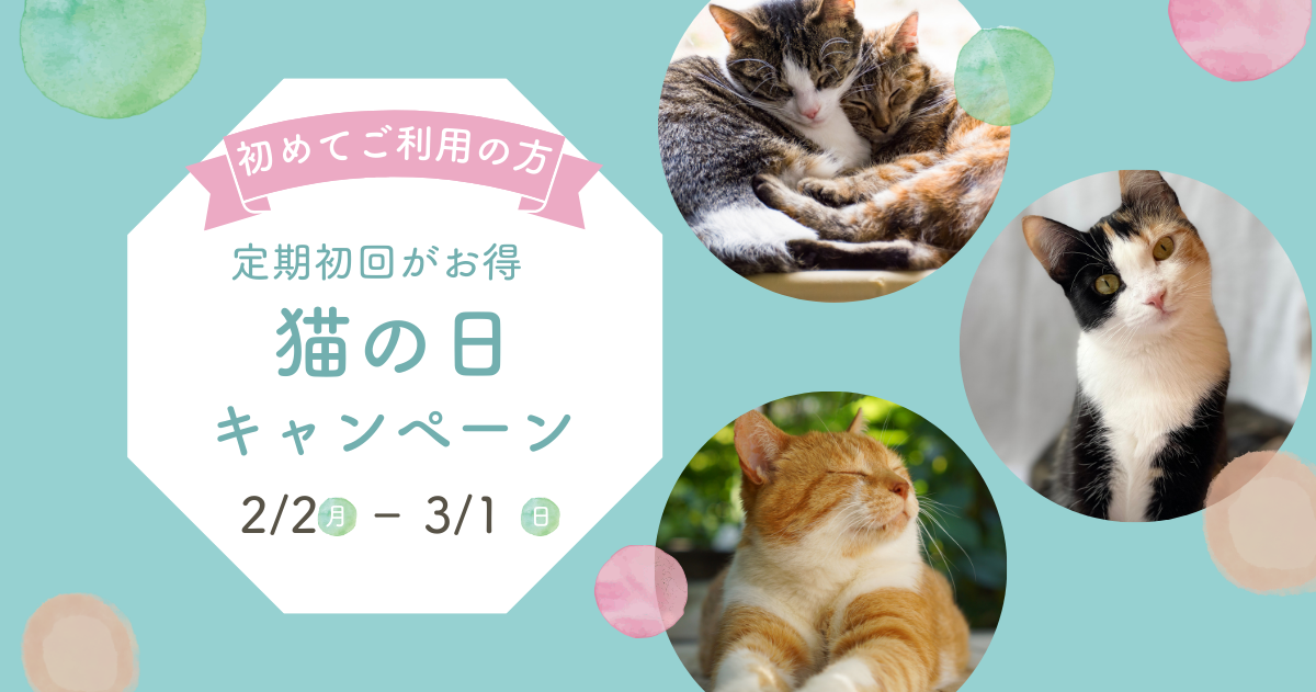 猫の日キャンペーン